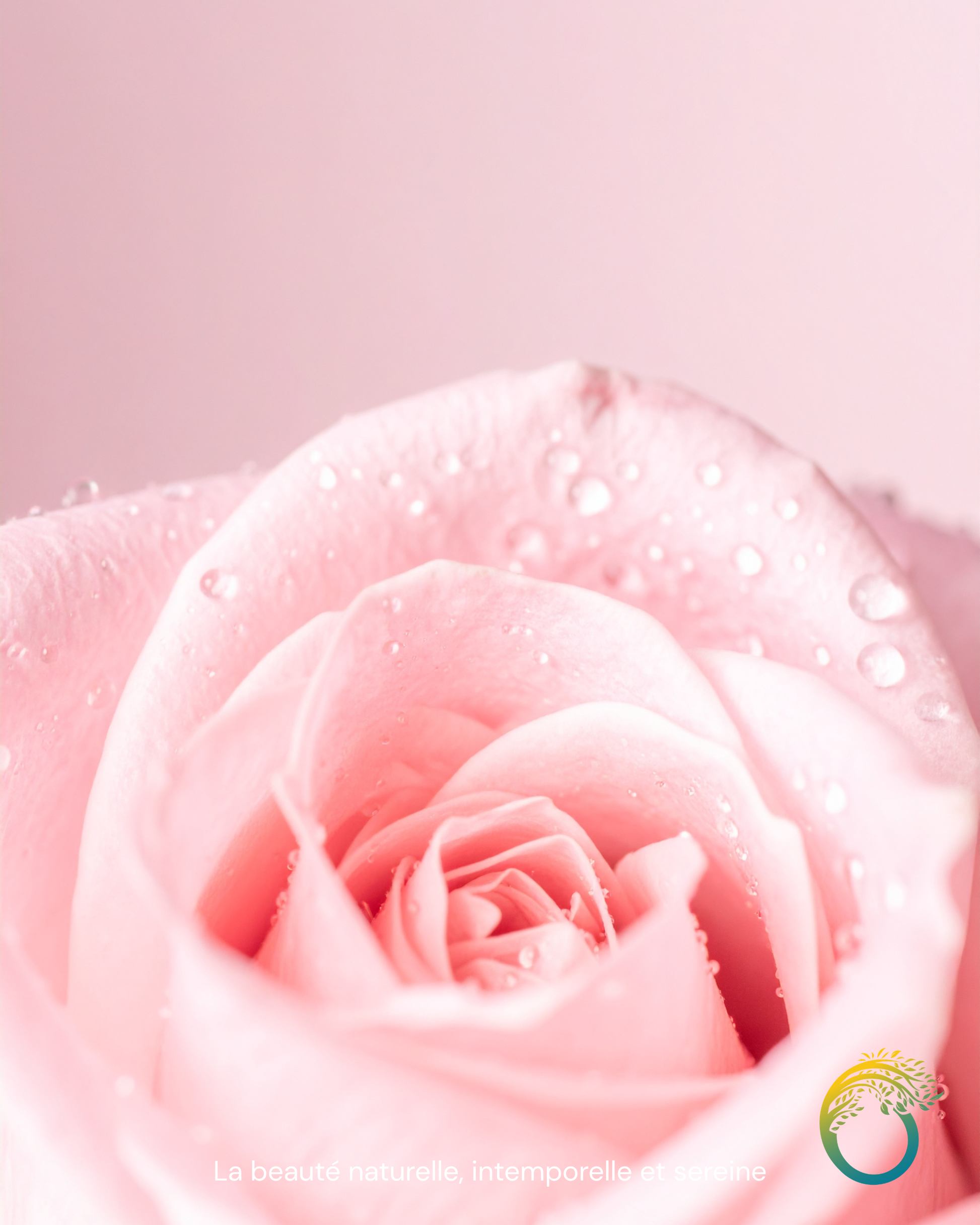 Carte Cadeau Oläaz – Idée cadeau beauté premium 50€, 100€ ou 150€